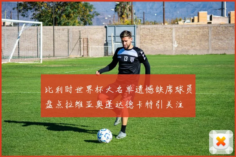 比利时世界杯大名单遗憾缺席球员盘点拉维亚奥蓬达德卡特引关注